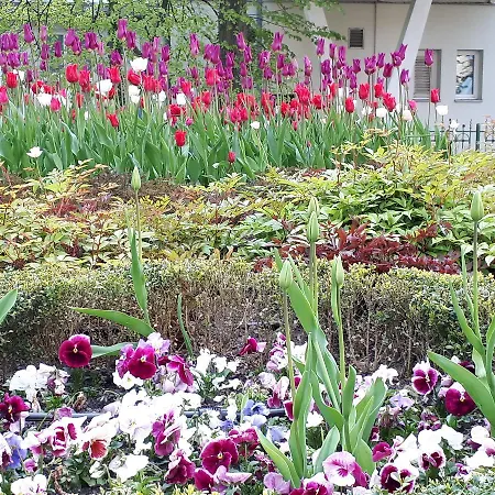 Kierunek Weranda Haffnera 32 Appartement *