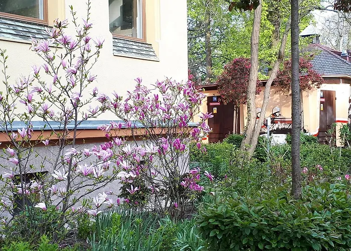 Kierunek Weranda Haffnera 32